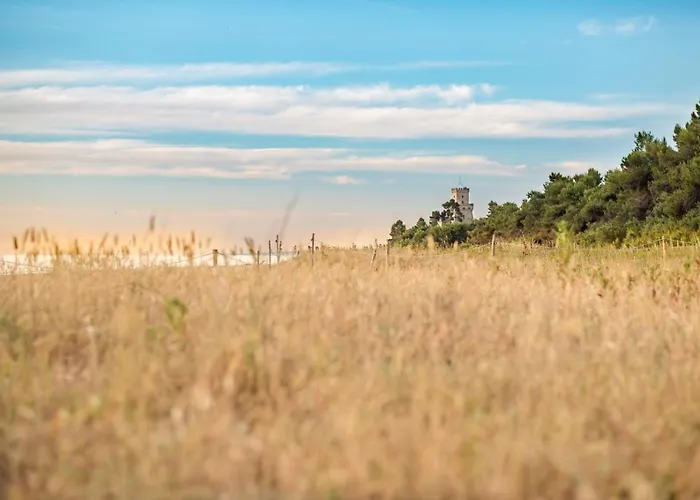 Appartamento Cavalluccio Marino-silvi *
